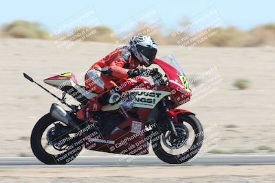 media/Oct-05-2025-CVMA (Sun) [[beeef4f201]]/Race 11-500-400(4)-350 Supersport/